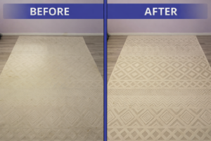 Rug cleaning comparison_ before and after